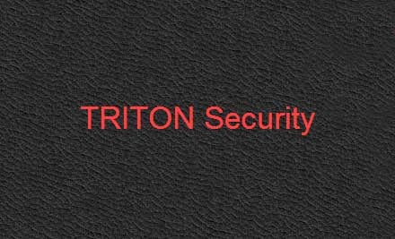 Triton Security Services