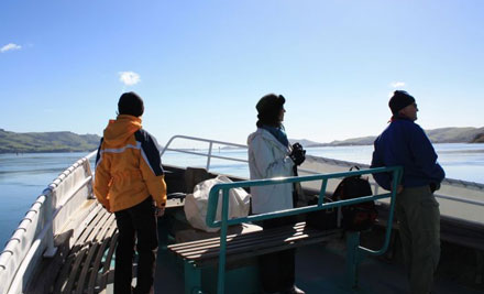 Wildlife One Hour Cruise