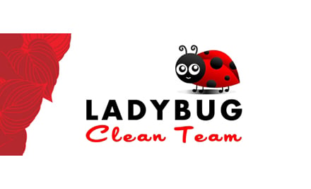 Ladybug Clean Team