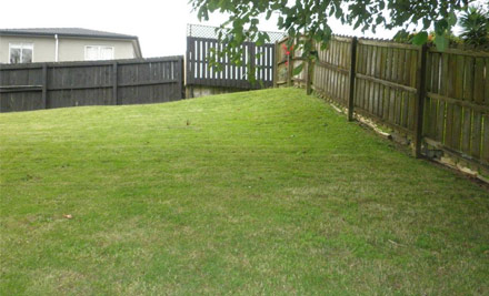Cut Above Lawns Ltd