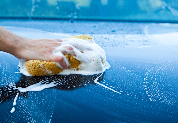 Express Auto Groomers