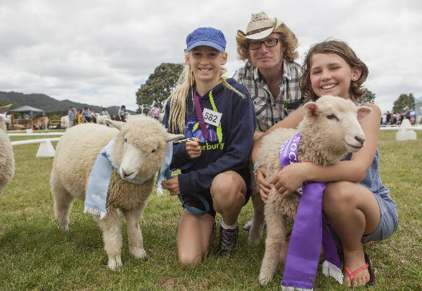 Hawkes Bay Agricultural and Pastoral Society