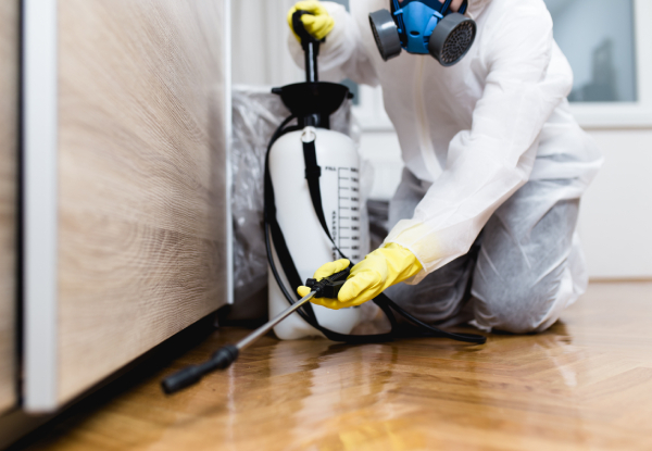 YourLocal House Wash Roof & Pest - Auckland Central