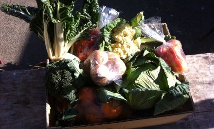 Naturally Fresh