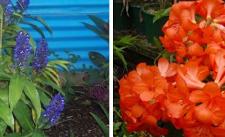 Plant Zone Direct