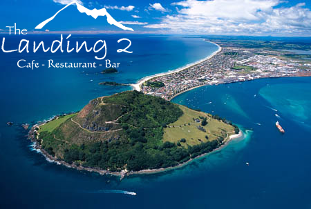 The Landing 2