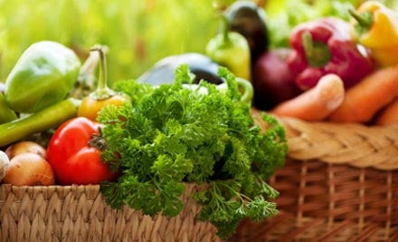 Wellpark College of Natural Therapies
