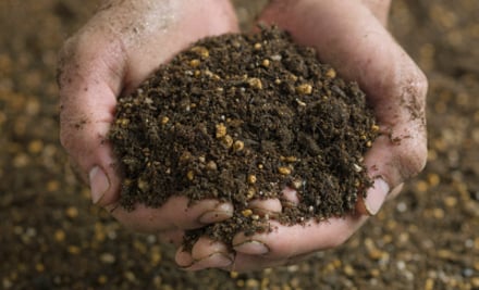 Capital Compost