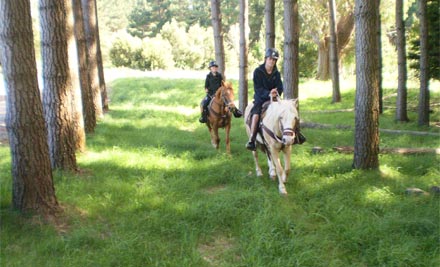 Willowford Cottage Horse Trekking