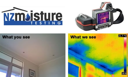 NZ Moisture Testing