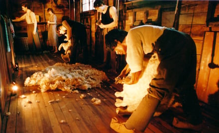 The Wool Shed
