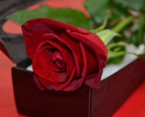 L'Amour Flowers & Gifts