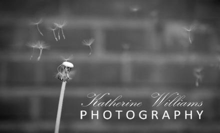 Katherine Williams Photography