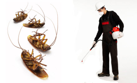 Gibson's Pest Control