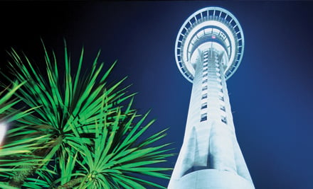 Auckland City Highlights Coach Tour incl. Sky Tower Visit