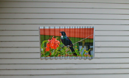 Personalized Prints