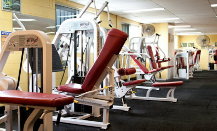 Lifestyle Health Clubs