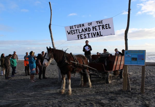 Tāiko Festival Incorporated