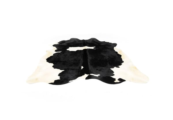 $499 for a Large Genuine Black & White Cow Hide Rug