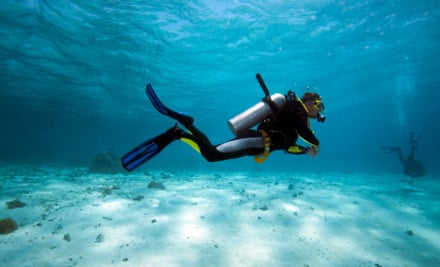 New Zealand Diving