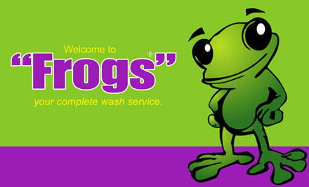 Frogs Housewashing