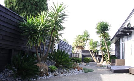 Vogue Landscapes