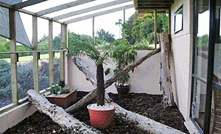 Te Puna Cat Resort