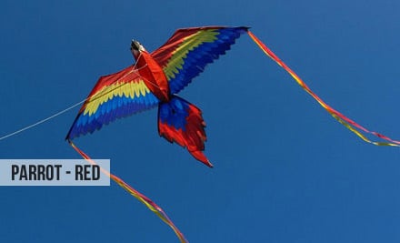 $39 for a Huge Octopus or Parrot Kite