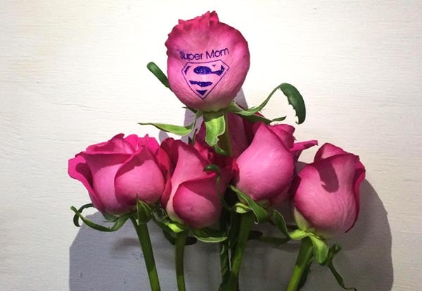 Speaking Roses NZ