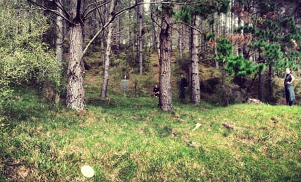 Frisbee Golf - Woodhill
