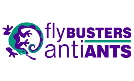 Flybusters Antiants