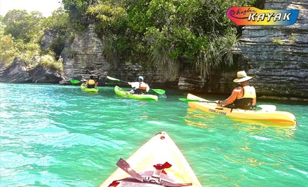 Three-Hour Guided Kayak & Coffee Tour