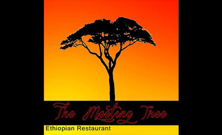 The Meeting Tree