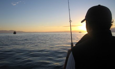 Skipper Solutions NZ