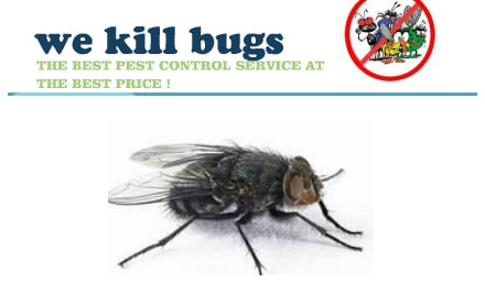 We Kill Bugs
