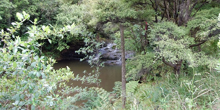 The Vintage Lodge - Matakana Coast