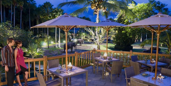 Elephant Safari Park & Lodge - Bali