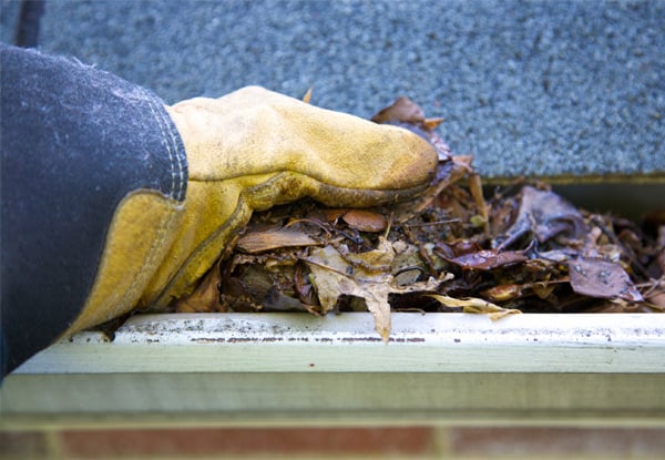 From $35 for a Home Gutter Clean – Five Size Options (value up to $140)