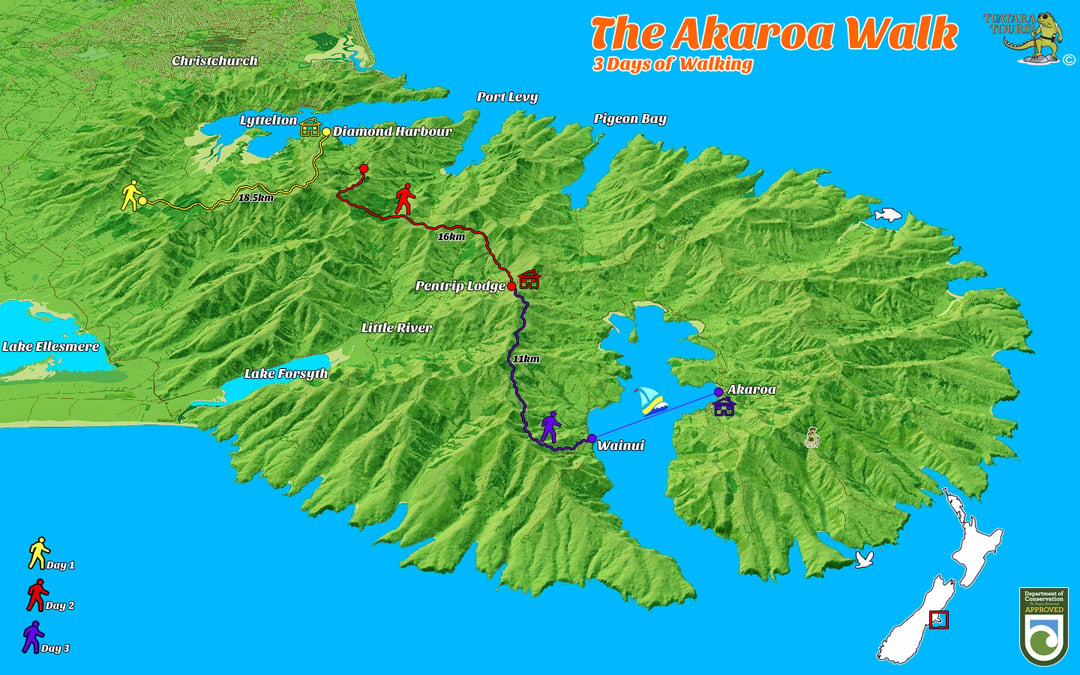 Tuatara Tours