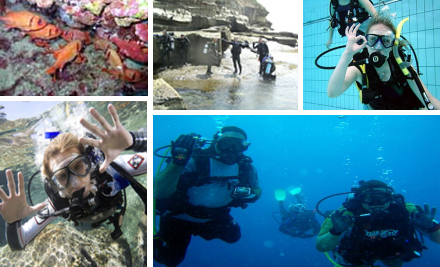 Scuba Shack