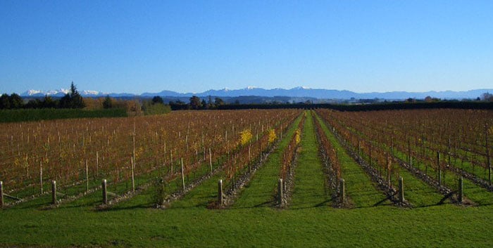 Milcrest Estate - Nelson
