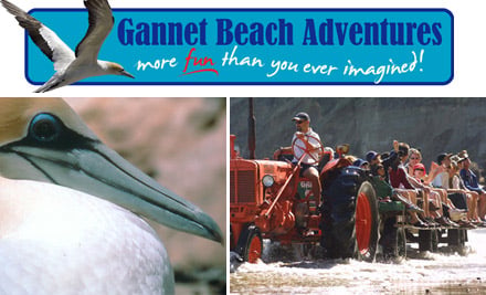 Gannet Beach Adventures