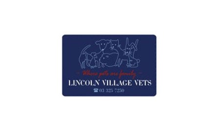 Lincoln Village Vets