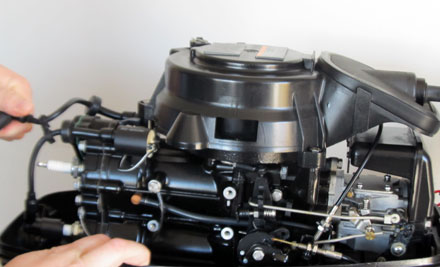 Waikato Marine Fix