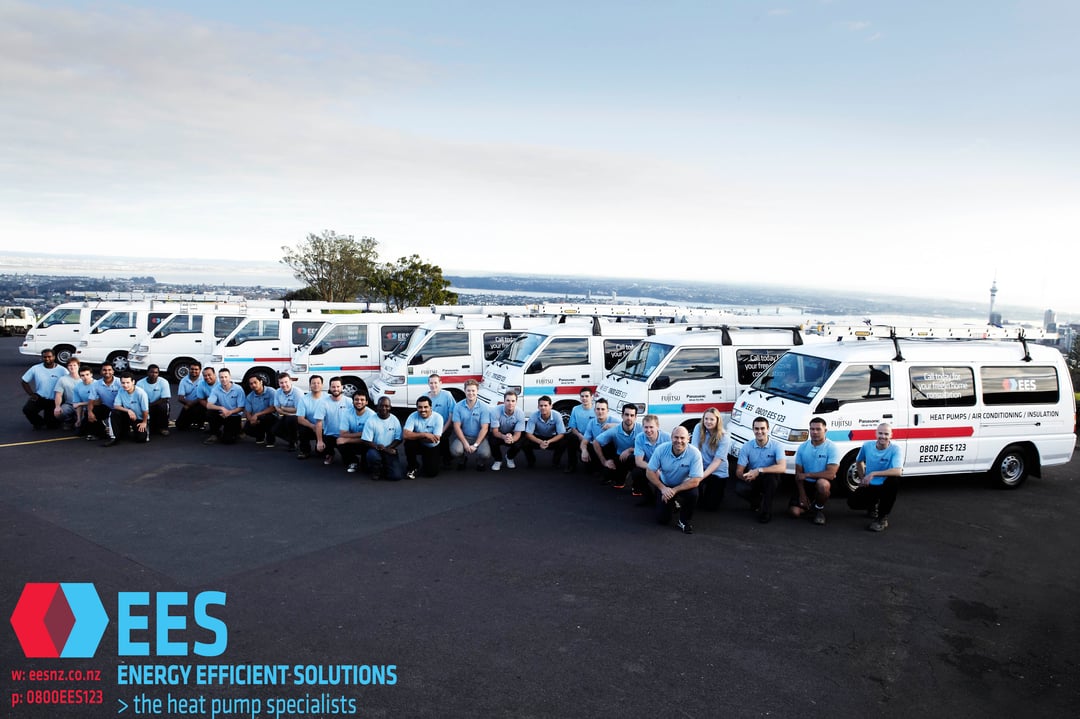 EES (Energy Efficient Solutions NZ)