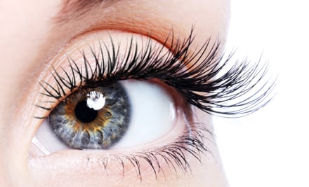 Cils Bella