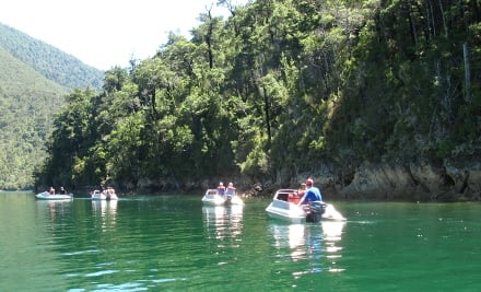 Waterways Boating Safaris