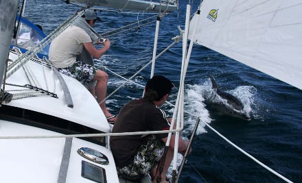 Kingfisher Yacht Charters