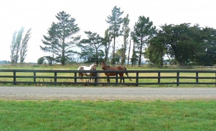 Tielcey Park Stables & Events Centre