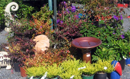 Kwan Garden Creations Ltd